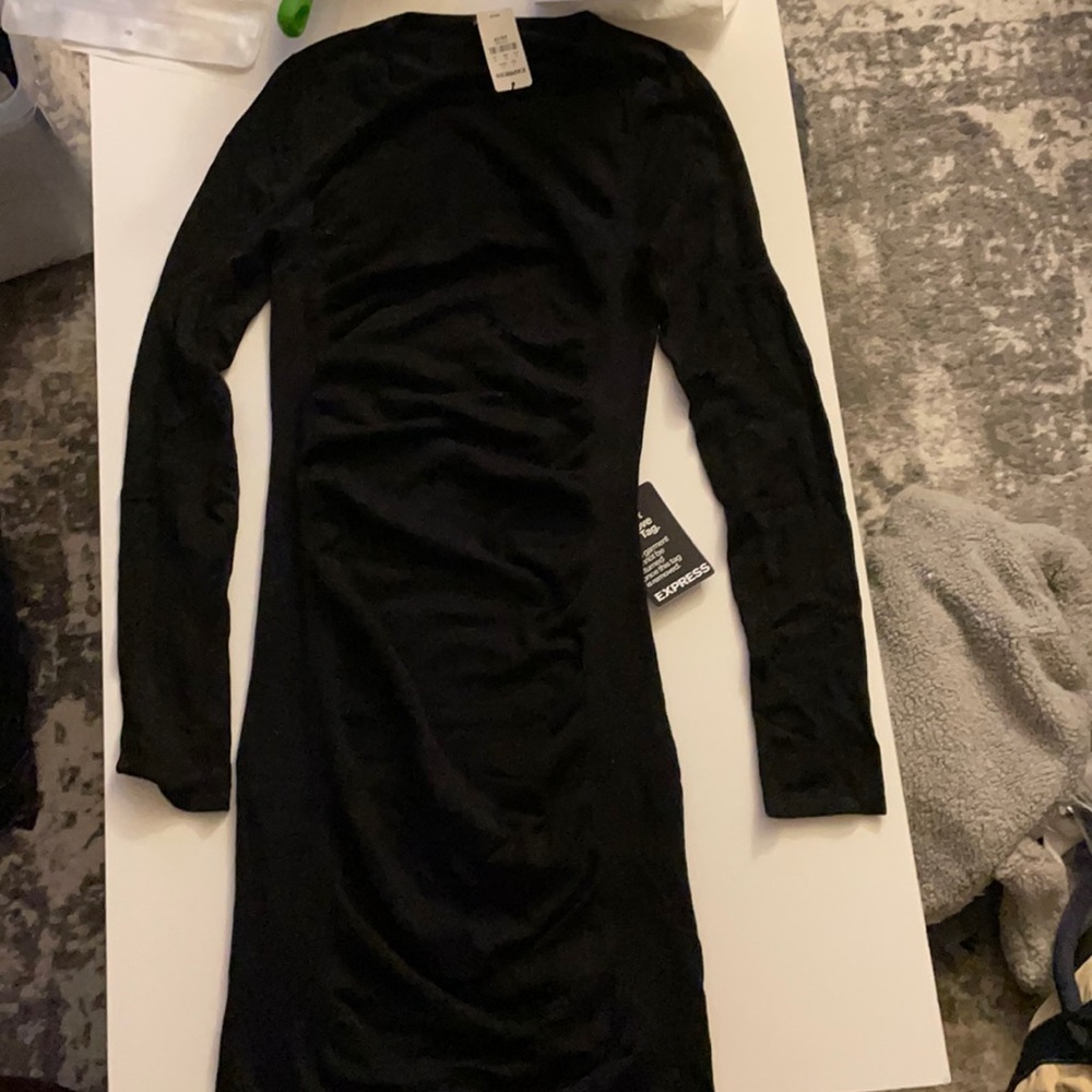 NWT Express Long Sleeve Sweater Dress